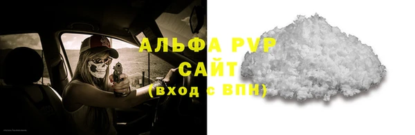 PSILOCYBIN Белокуриха