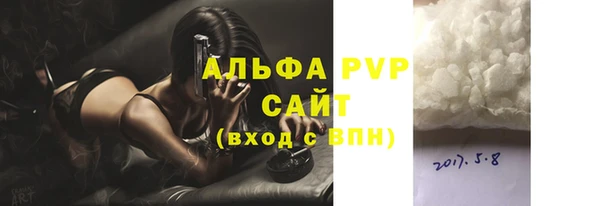 PSILOCYBIN Белокуриха