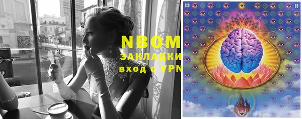 PSILOCYBIN Белокуриха