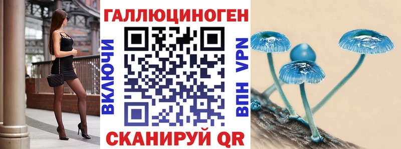 Галлюциногенные грибы Psilocybe  Гатчина 